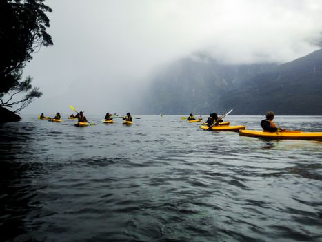 Several people paddling in yellow kayaks