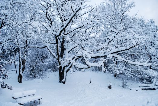 Winter wonderland with a swing by the tree