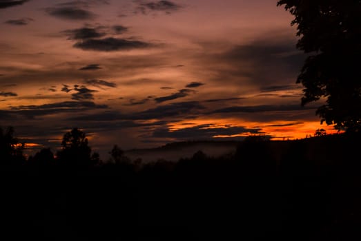 A dramatic sunset sky above a forest