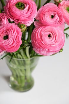 Pink Ranunculus bouquet in transparent glass vase on white table. Close-up. For colorful greeting card or flower delivery. Soft selective focus. Copy space. Vertical