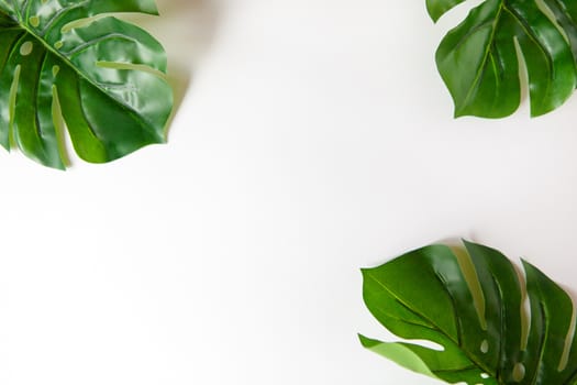 Frame of Monstera leaves on white background with copy space. Minimalism flat lay. For lifestyle blog, book, article, social media.