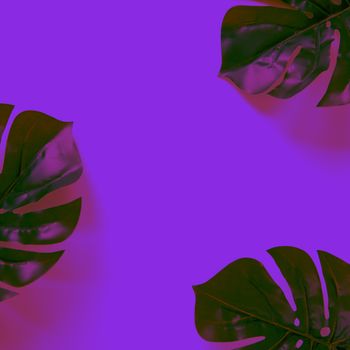 Frame of Monstera leaves on neon background and light in trendy colour Proton Purple. Minimal flat lay with copy space. For lifestyle blog, book, article, social media. Square format for Instagram.