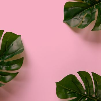 Frame of Monstera leaves on pink background with copy space. Minimalism flat lay. For lifestyle blog, book, article, social media. Square format for Instagram.