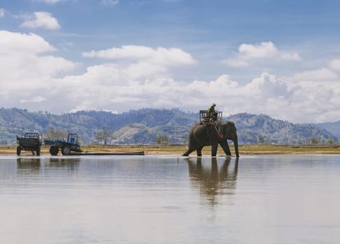 Elephant rider from the back in Vietnam