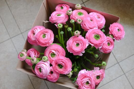 Pink Ranunculus bouquet in a cardboard box on the floor. Top view. For flower delivery, social media. Soft selective focus. Horizontal