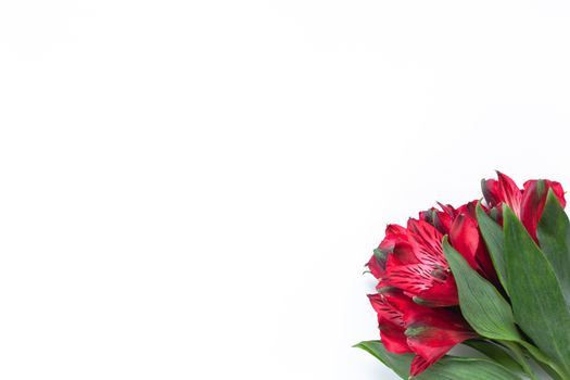 Bouquet of red flowers alstroemeria on white background. Flat lay. Horizontal. Mockup with copy space for greeting card, social media, flower delivery, Mother's day, Women's Day