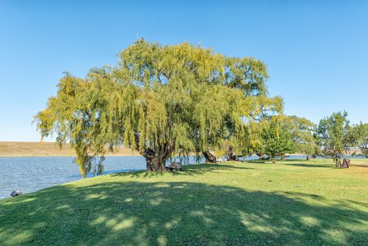 Camping sites next to the dam at Vrede in the Free State Province