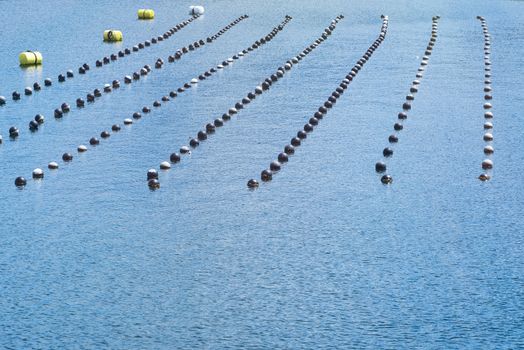 Pearl rows in the ocean, production and cultivation of pearls in the ocean. landscape and Pearl aqua farming cultivation Shima Japan.