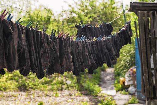 Washed socks hanging on a rope dried.Washing socks.