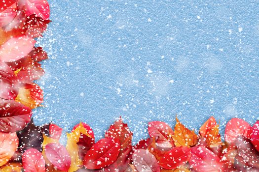 Border of autumn leaves on a blue background witn snow - a beautiful template for an autumn card or congratulations.