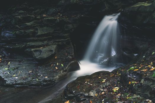 Flowing mountain stream carving its way through rocks.  Some small leaves fallen from the surrounding flora lay scattered across the rocks