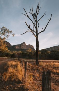 Afternoon light in the mountain valley.  Old weathered timber fence with rusted barbed wire in a farm of long dry grasses  and a tall dead tree catch the last rays of light.  In the distance towering  cliffs rise up