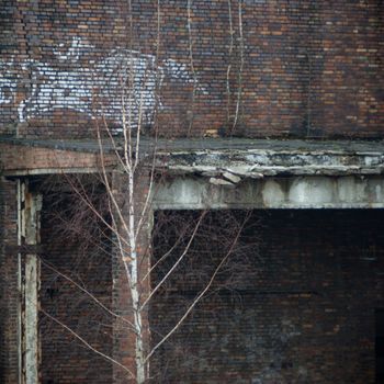 ruins of a very heavily polluted industrial factory, industrial series