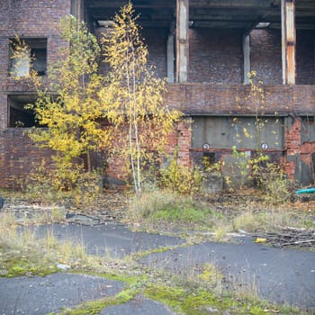 ruins of a very heavily polluted industrial factory, industrial series