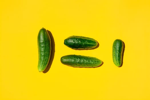 People equality concept on a yellow background. Copy space. Cucumbers for designers. Top view. Cucumber harvest. Cucumber background. Farming, gardening, agriculture, harvesting and people concept.