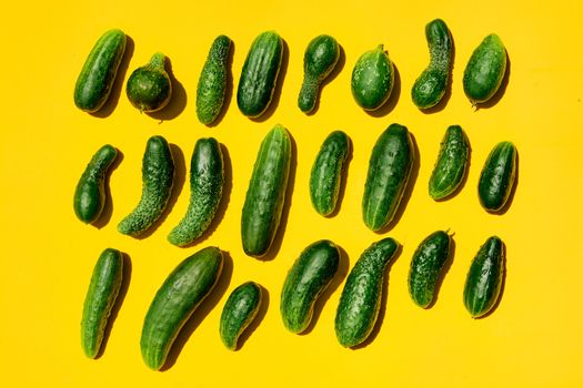 Different sizes forms cucumbers pattern on a light yellow background. Copy space. Cucumbers background close-up. Top view. Cucumber harvest. Cucumbers texture wallpaper. Farming, harvesting concept.