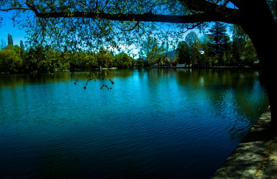 view of Puigcerda's lake surrounded by trees in a sunny day with blue sky