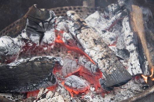 Close up of a wood camp fire