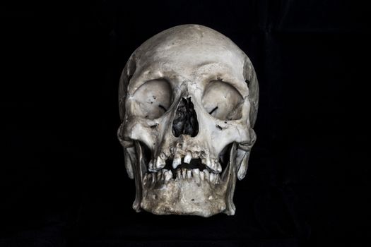 A human skull on a black background  real human skull