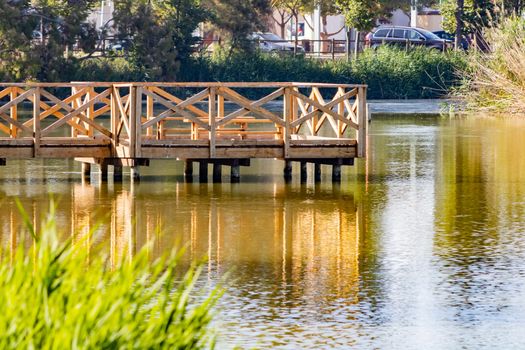 Jetty for bird watching in the natural landscape of Nules