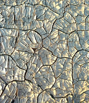 Image of cracked clay. Texture for background. Natural background for your design.