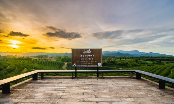 Beautiful sunsets at Chui Fong Tea Plantation   This is a popular tourist attraction in Chiang Rai. Beautiful sunset