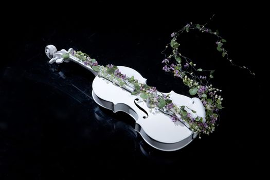 White decorative violin and flower composition
