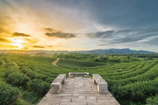 Beautiful sunsets at Chui Fong Tea Plantation, Chiang Rai Province North of Thailand