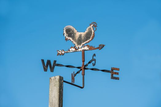 Rusty weathercock in a garden shows where the wind blows from 