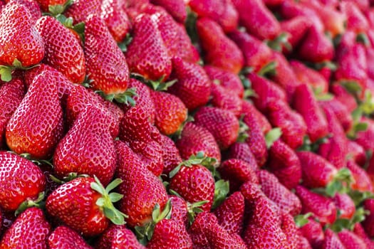 Fresh red strawberries on the fruit market