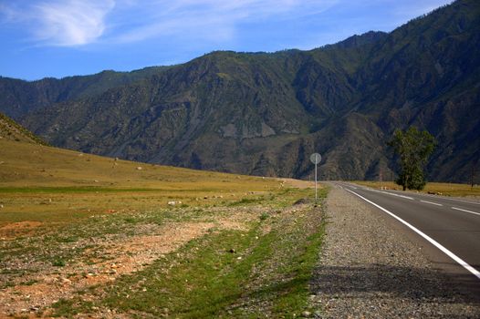 Asphalt road going through a field at the foot of high mountains. Chui tract, Altai, Siberia.