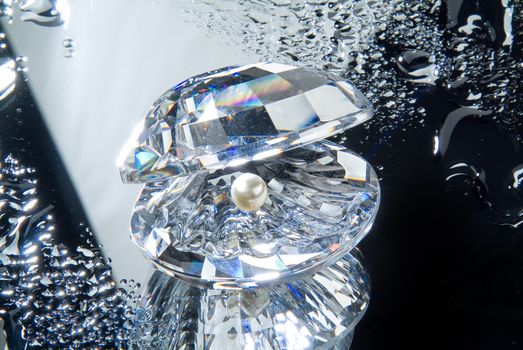Crystal shell and a pearl on a glass studio background