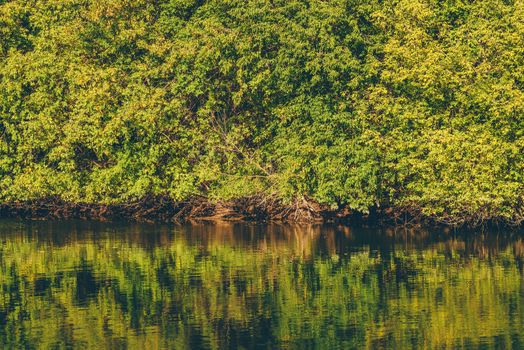 Background of autumn forest with reflection on water surface