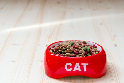 cat bowl on the floor filled with dry food, close-up photo