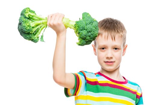 Strong athlete training in weight lifting on broccoli, portrait isolated concept photo