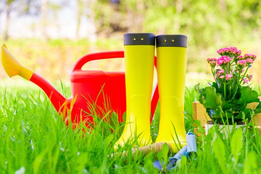 Yellow rubber boots, red watering can and tools for planting flowers on a green lawn close-up