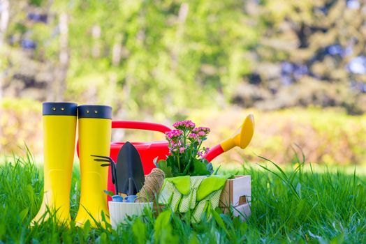 tools for working in the garden, objects for spring work close-up