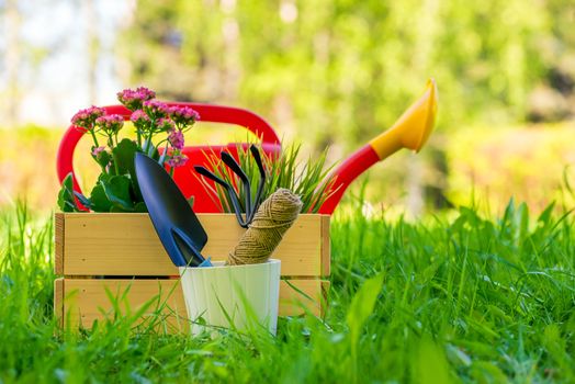 new tools for working in the garden on a green lawn backyard close-up