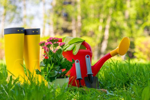 Concept photo of gardening work, tools and gardener's protective clothing