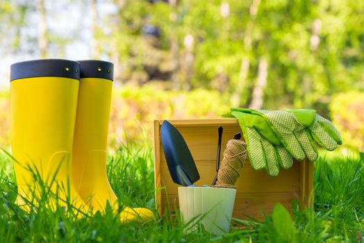 objects for working with plants in the garden close up and yellow rubber boots gardener on a green lawn