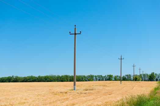 Power line in a yellow cereal field summer landscape