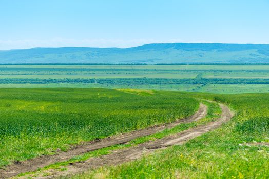 dirt road in a green field, beautiful landscape with mountain views