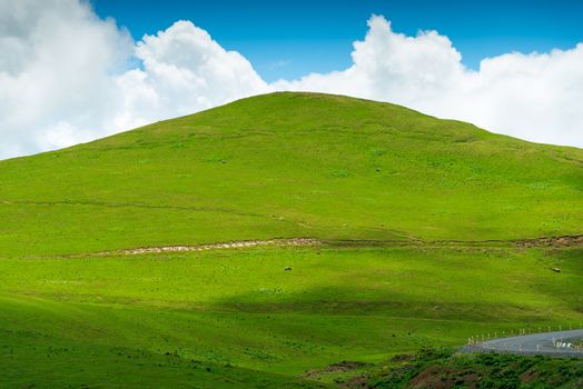 Beautiful flat green hill on a background of blue sky on a clear summer day, Caucasus in June