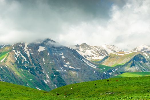 Caucasian ridge, trip to Georgia in June