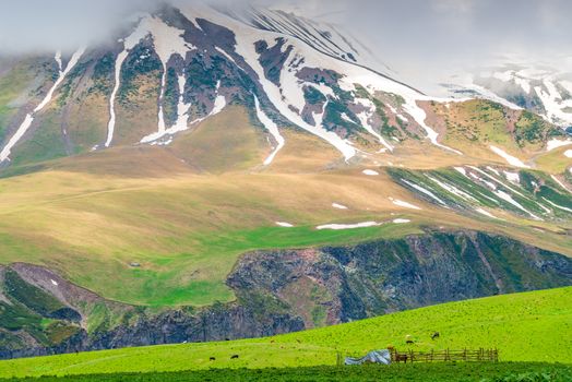 The slope of the Caucasus Mountains with the remnants of snow in June, the picturesque mountain landscape of Georgia
