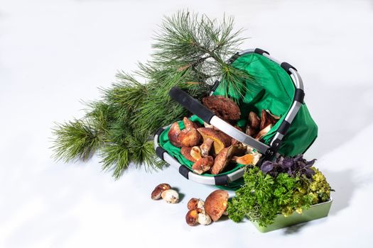 Mushrooms in a basket on an isolated studio background