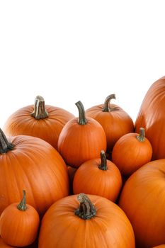 Heap of many orange pumpkins isolated on white background , Halloween concept