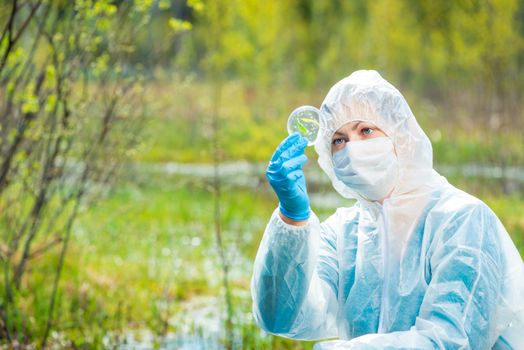 environmentalist in protective clothing examines infected plants from the forest lake