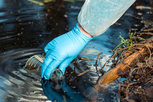 environmentalist's hand close up while taking a sample of water from a river in the forest