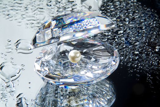 Crystal shell and a pearl on a glass studio background
